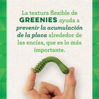 Greenies Grain Free Snack Dental para perros 170 gr image number null